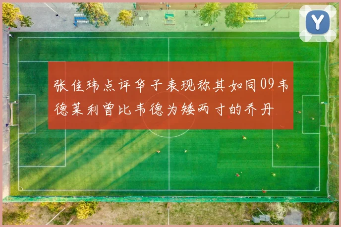 张佳玮点评华子表现称其如同09韦德莱利曾比韦德为矮两寸的乔丹
