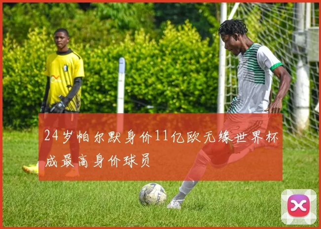 24岁帕尔默身价11亿欧无缘世界杯成最高身价球员